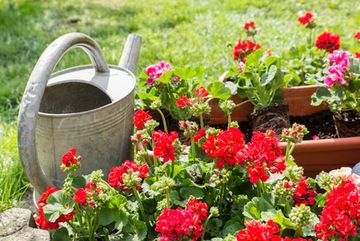 Blumenkästen mit Komposterde